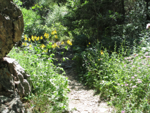 Screen shot 2013-03-16 at 10.12.54 PM