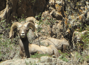 Screen shot 2013-03-16 at 9.37.31 PM