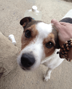 Screen shot 2013-03-17 at 11.39.37 PM