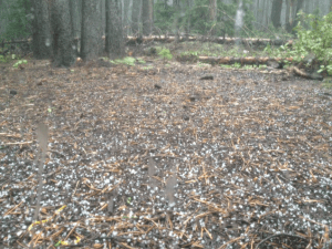 Hail outside my tent