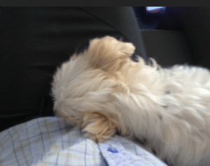 Screen shot 2013-10-30 at 12.33.32 AM